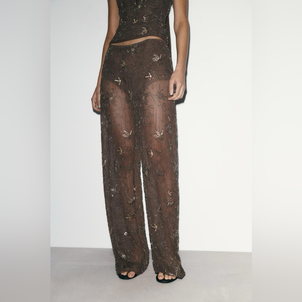 🆕(NWT) ZARA **VIRAL** Embroidered Sequin Beaded Tulle Top and Pants Set. SMALL - Picture 10 of 15